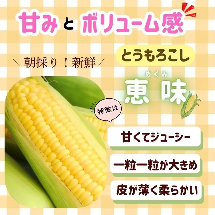 とうもろこし（恵味）・枝豆セット 木内ファーム_とうもろこし Ca-006