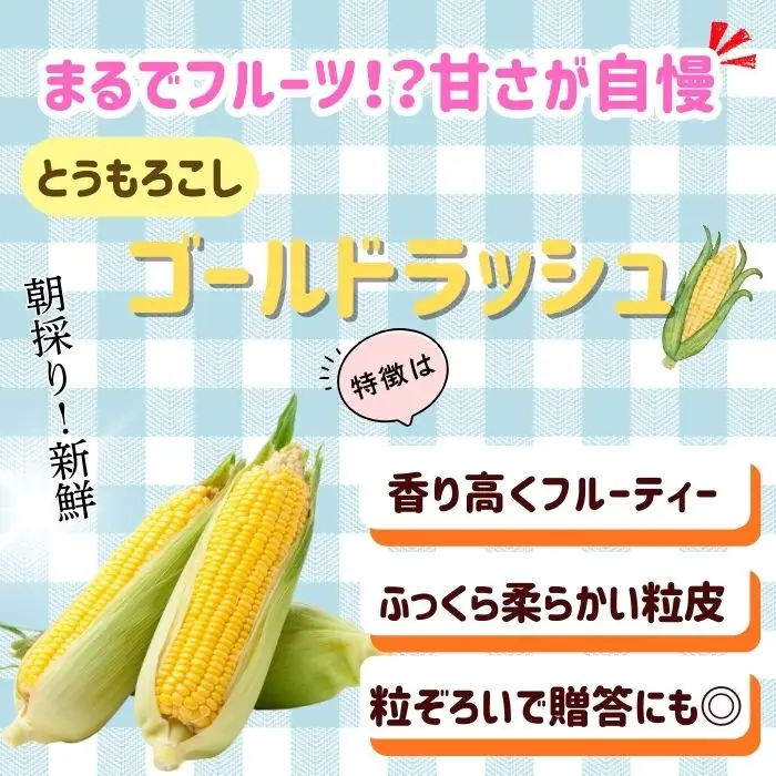 とうもろこし・枝豆セット 木内ファーム_とうもろこし Ca-005