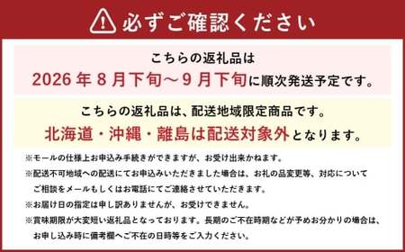 岡山県産 シャインマスカット 「 晴王 」 と ニューピオーネ 3Lサイズ 計約1.2kg ぶどう ブドウ 葡萄 くだもの 果物 果実 フルーツ 国産 マスカット 【 2026年8月下旬～9月下旬発送予定 】