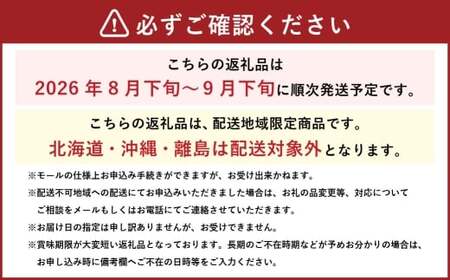 ご家庭用 岡山県産 ニューピオーネ 約1kg （ 500g×2房 ） ぶどう ブドウ 葡萄 くだもの 果物 果実 フルーツ 国産 【 2026年8月下旬～9月下旬発送予定 】