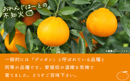 ＜不知火 訳あり 約2kg＞ 柑橘 みかん ミカン 蜜柑 果物 くだもの フルーツ しらぬい シラヌイ デコポン でこぽん 訳アリ ご自宅用 国産 愛媛産 特産品 おれんじはーと 食べて応援 西宇和 愛媛県 西予市【常温】『2026年3月上旬～3月下旬に順次出荷予定』MOH0016