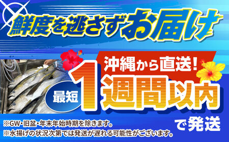 冷凍キハダマグロ 1.2kg (300g×4パック) マグロ まぐろ 小分け 冷凍 刺身 赤身 沖縄市 / 沖縄市漁業協同組合 パヤオ直売店[BCDZ007]