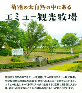 エミューストラップ 全長約20cm ストラップ付き 熊本県菊池エミュー観光牧場株式会社 《30日以内に出荷予定(土日祝除く)》 熊本県 菊池市 エミュー ストラップ 縁結び 幸運の羽 羽根 菊池市 熊本県 送料無料