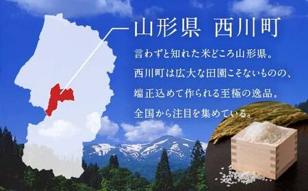 FYN6-384 【定期便3回】山形県産 特別栽培米使用！もち麦とつや姫玄米ごはん 24個×3回 合計72個 GABA入 レンジで2分 パックごはん パックライス 玄米 つや姫 つやひめ 銘柄米 ブランド米 米 こめ ご飯 ごはん ライス 簡単 調理 レンチン 手軽 時短 保存食 備蓄 自宅 家庭 贈答 贈り物 ギフト プレゼント 山形県 西川町 月山