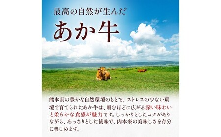 熊本県産 GI認証取得 くまもとあか牛 切り落とし 合計約800g （約400g×2パック）｜牛肉 お肉 肉 赤牛 あか牛 モモ バラ ウデ クビ ヘルシー 小分け 熊本県 湯前町 冷凍 