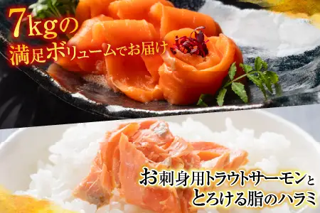 お刺身トラウトサーモン3kg＆とろサーモンハラミ4㎏セット D-09003