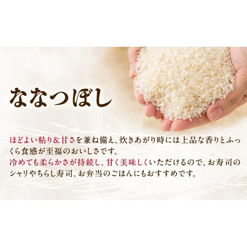 ななつぼし 北海道産 精米 特A ななつぼし【10kg】