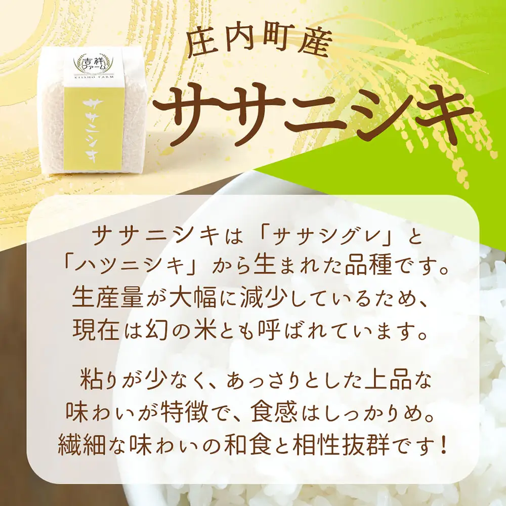 吉祥ファーム 2合キューブ×1個 ササニシキ 300g 無洗米 令和7年産 2025年産 ブランド米 優秀金賞受賞農家 ブランド米 コシヒカリの原点、亀の尾発祥の地 庄内