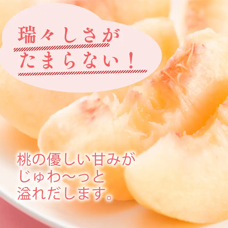 ≪8月～9月発送予定≫  品種お任せ 平川市産 白桃 約2kg (5-6玉）[hi-0039-009]