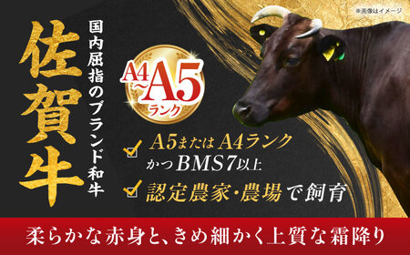 【全6回定期便】 肉と魚のプレミアム定期便 （奇数月発送）【江北町ふるさと納税】 牛肉 豚肉 うなぎ 鰻 フグ ふぐ[HZY201]