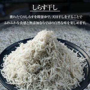浜口海産物店のちりめんじゃこ（70ｇ× 12袋）小分けセット シラス 釜揚げ しらす丼 ちりめん丼 かちりじゃこ 詰め合わせ セット おつまみ 料理 地元特産 海産物 無添加 高知 【R01596】