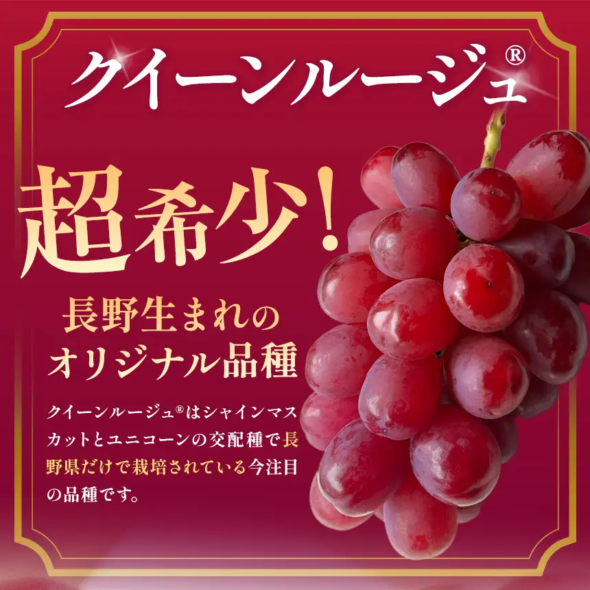 先行受付 クイーンルージュ® 約2kg 2～5房 【2026年9月上旬～11月上旬発送】［K-36］