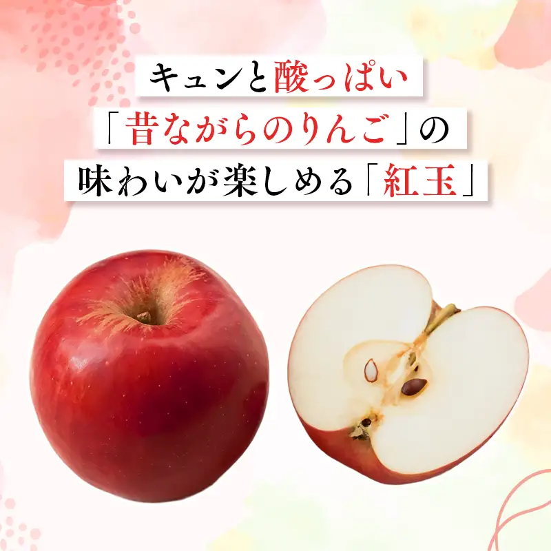 りんご 家庭用 紅玉 約2kg【hi-0068-002】