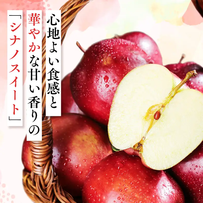 【ふるなびWEEK対象】 りんご 家庭用 シナノスイート 約2kg［hi-0068-005］ 