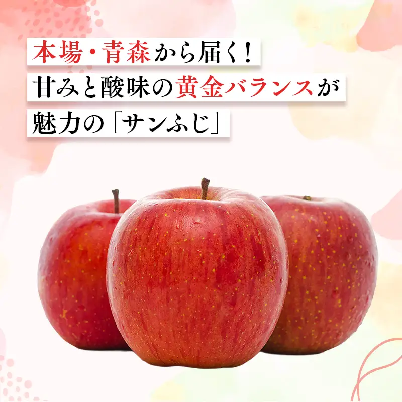 りんご 贈答用 サンふじ 約2kg【hi-0068-008】