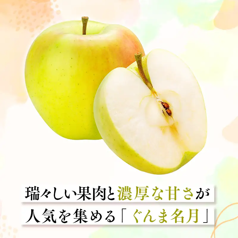 りんご 家庭用 ぐんま名月 約2kg【hi-0068-022】