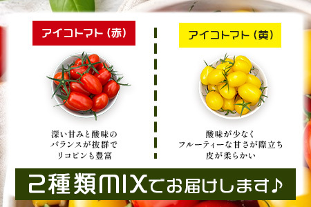 岩永さんちの カラフル ミニトマト | アイコ赤･黄MIX 2kg |【農林水産大臣賞受賞】有機肥料・化学肥料不使用 | 生産者直送 野菜 トマト 2kg とまと プチトマト サラダ やさい 旬 新鮮 おやつ お弁当 人気 送料無料 佐賀県 鹿島市 C-186