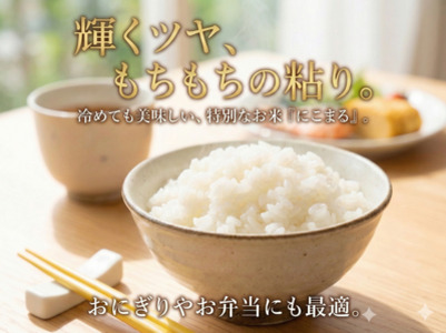 【期間限定寄附額】最高評価「特A」令和7年産 岡山県産米「 にこまる」 10kg　＜9月発送＞