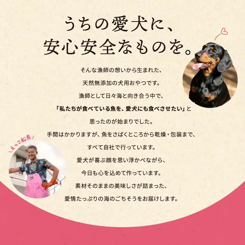 犬のおやつ 海の天然 ベイビーシャーク サメ 犬のおやつ【70g×3パック】