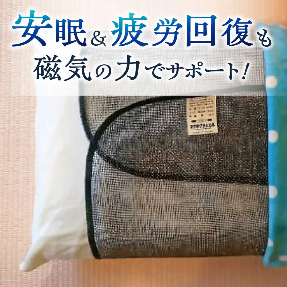 ＜磁力が快適な生活をお手伝い＞ぴろ~シート【サンキホーム有限会社】開成町 [BDAE001]