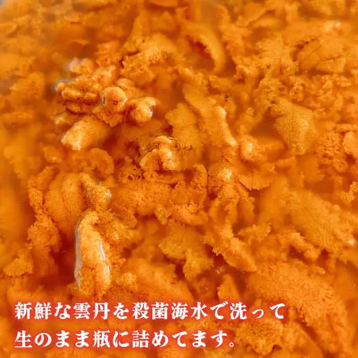 【先行予約】生紫うに 60g×1本 [JBD054] うに 生うに