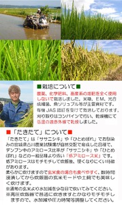 ≪先行予約受付中！≫【2026年産・新米】 たきたて 有機玄米 10kg 低アミロース米 有機JAS認証 米 こめ コメ ご飯 ごはんおにぎり お弁当 宮城米 うるち米 【有機農園ファーミン株式会社】tm577