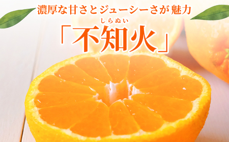 ＜秀品 不知火 (L～2Lサイズ) 約5kg＞愛媛 蜜柑 ミカン みかん 果物 フルーツ 柑橘 国産 秀品 ギフト 贈答用 しらぬひ しらぬい シラヌイ 不知火 愛媛県産 西予市産 西宇和 特産品 丸二青果 愛媛県 西予市【常温】『2026年2月～4月中旬頃までに順次出荷予定』 MMY0016