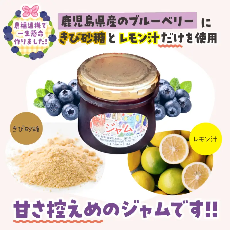 ブルーベリー ジャム KN106-002 無添加 加工食品 フルーツ