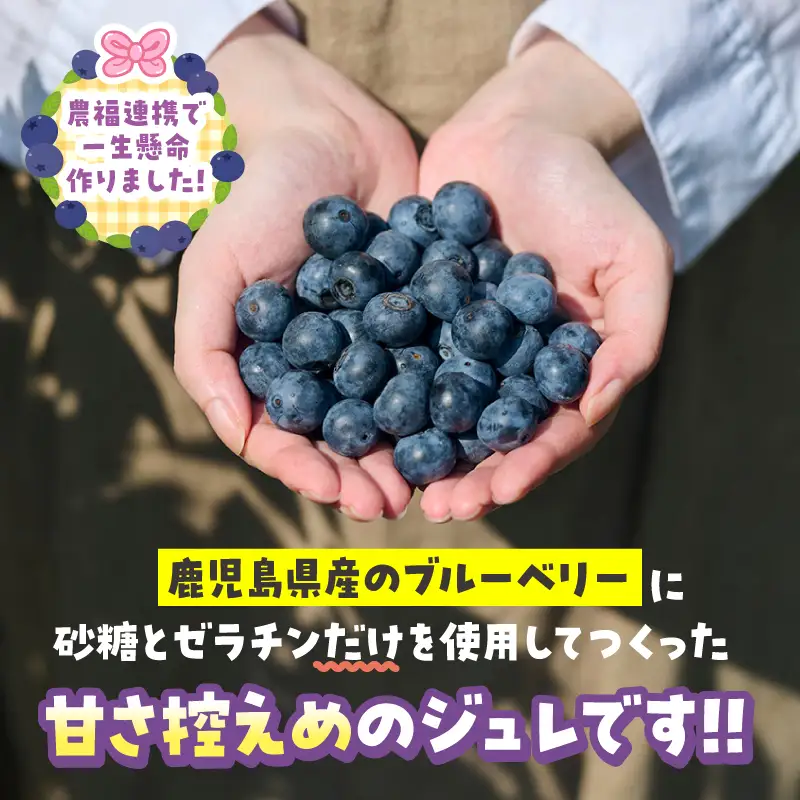ブルーベリー ジュレ KN106-003 無添加