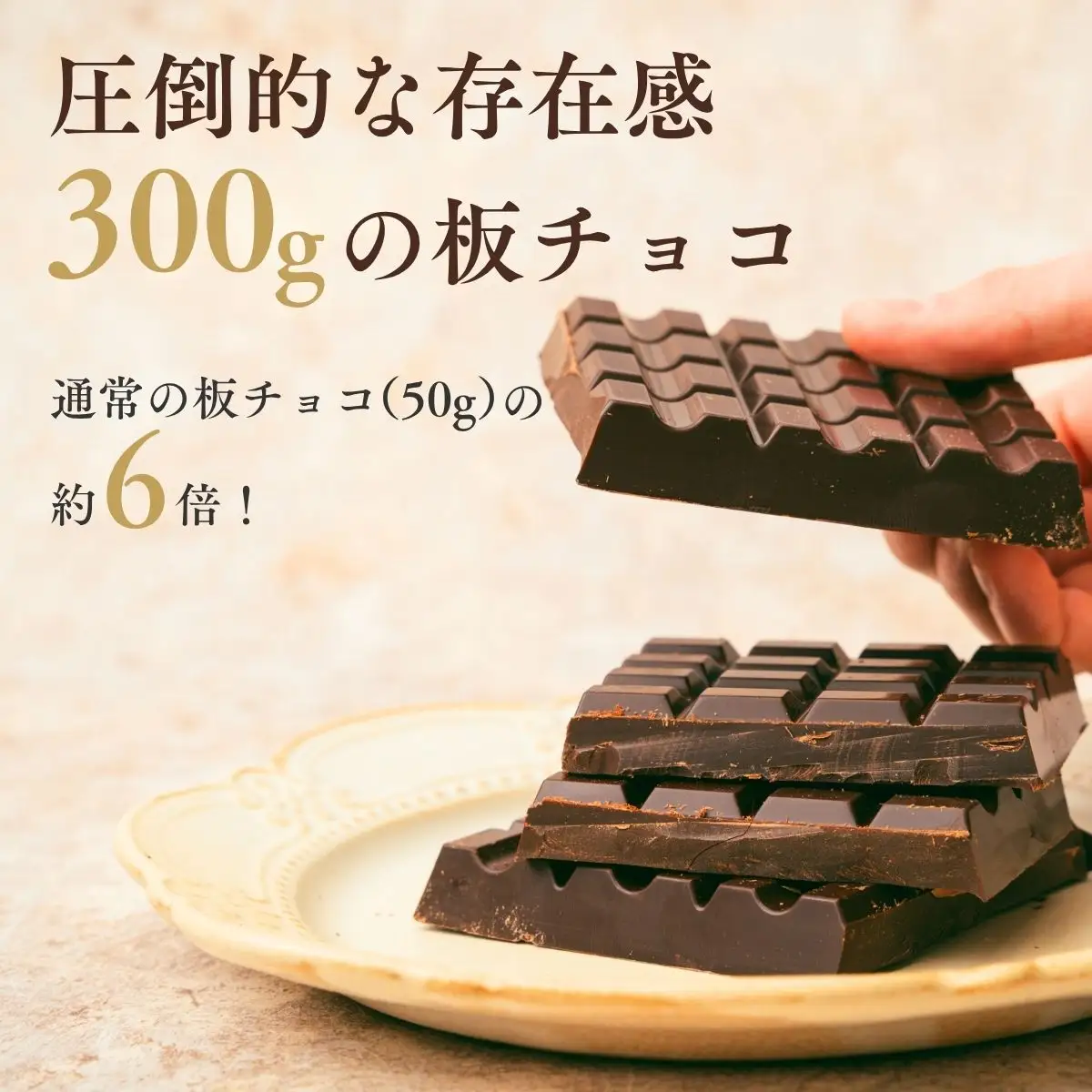 スペシャルハイカカオチョコレート2枚 | チョコレート 芥川製菓