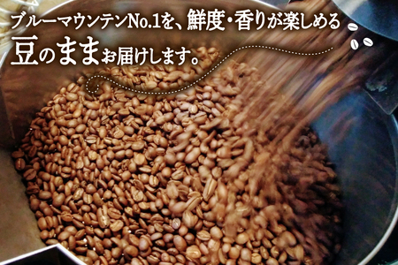 コーヒー豆 「ブルーマウンテンNo.1」 300g と 「コーヒーミル」 の セット