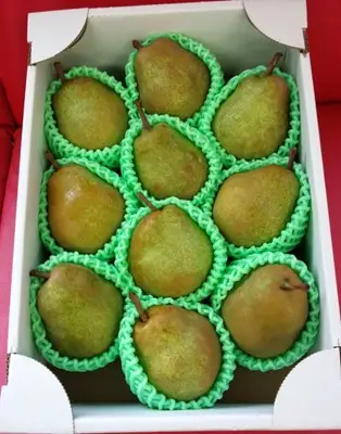 西洋梨（ラフランス） 3kg 10～11玉 特秀品 0042-2613