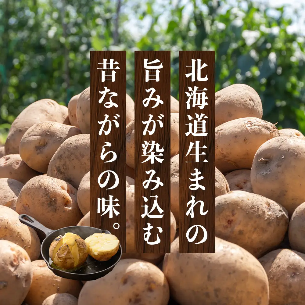 【2026年秋発送 先行予約】じゃがいも 馬鈴薯（男爵）Ｌサイズ　5kｇ＜JAようてい＞