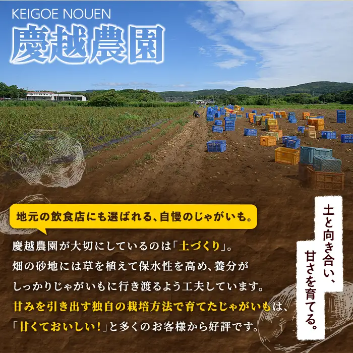 ＜先行予約受付中！2026年12月以降順次発送予定＞じゃがいも ニシユタカ(5kg) 国産 鹿児島県産 阿久根市産 じゃがいも ジャガイモ 芋 ポテト にしゆたか 野菜 期間限定 数量限定 ポテトサラダ コロッケ 常温 常温配送 【慶越農園】akn107-09