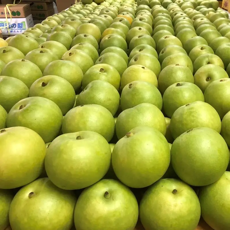 【先行予約／数量限定50】【訳あり】20世紀梨 優品 3kg（7～12玉入り）（2026年9月上旬～発送） なし 二十世紀梨 ふるさと 納税 梨 ふるさと 納税 20世紀梨