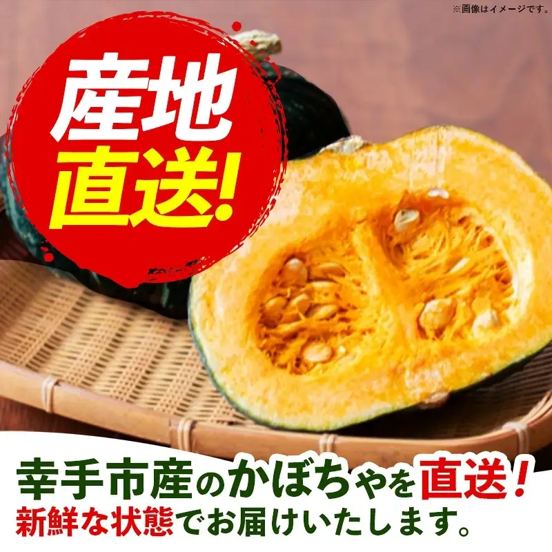 【きあり農園】2026年度 幸手市産 ミニかぼちゃ 3個 - カボチャ 南瓜 栗てまり 産地直送