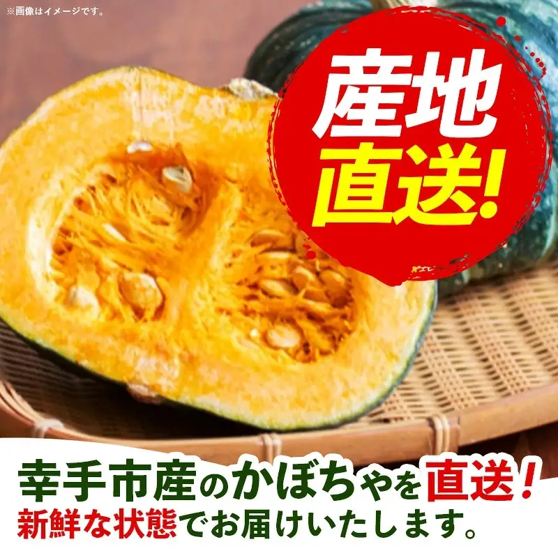 【きあり農園】2026年度 幸手市産 かぼちゃ 約10kg - カボチャ 南瓜 くり大将 くり将軍 産地直送