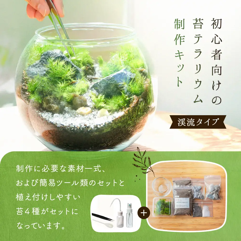【渓流編】苔テラリウム制作キット（ツール付き）