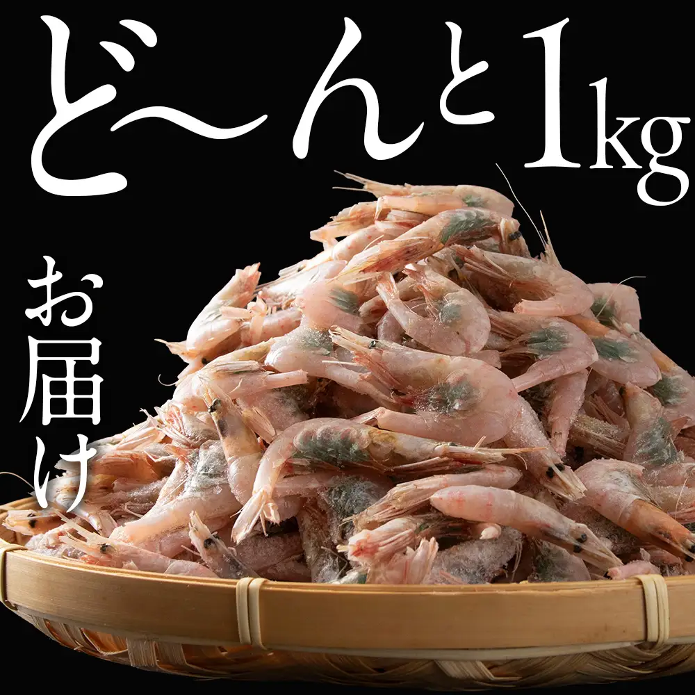 北海道産 白老加工 南蛮えび1kg＜斉藤水産＞ AM199