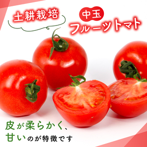 フルティカ 約1.6kg 大瀧農園 トマト 完熟トマト 野菜 産地 直送 人気 国産 愛媛県 愛南町 発送期間：2026年3月1日～7月頃まで（※なくなり次第終了）
