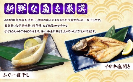 一夜干しこだわりセット ／ さば塩 あじ塩 かます開き 連子鯛開き ふぐ イサキ 鯖 サバ 鯵 アジ カマス タイ フグ 河豚 干物 ひもの 魚介類 真空パック 冷凍 長崎県 長崎市