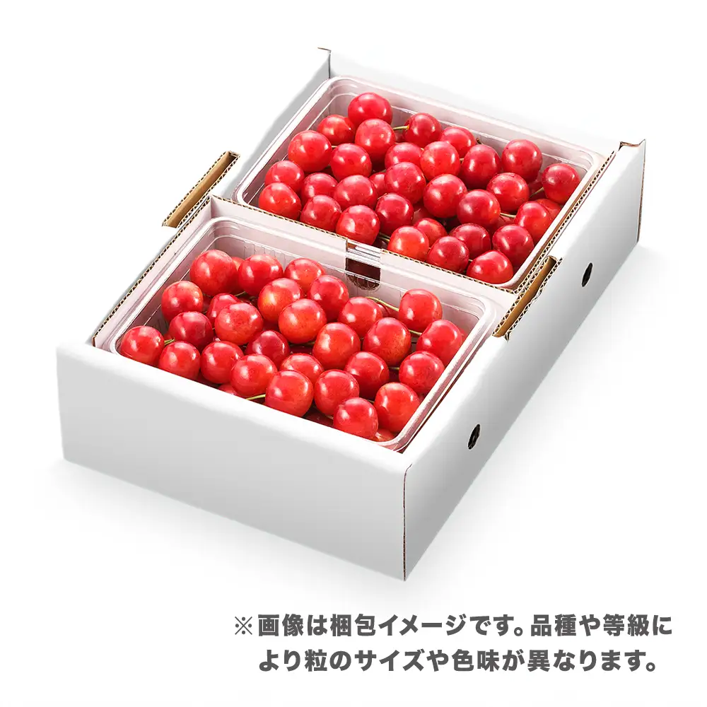 さくらんぼ 紅秀峰 1kg(500g×2) L以上 秀品 sb-bsslx1000