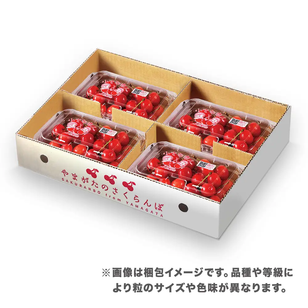 さくらんぼ 紅秀峰 720g(180g×4)  L以上 秀品 sb-bsslx800