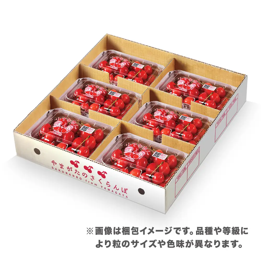 さくらんぼ 紅秀峰 1080g(180g×6) L以上  秀品 sb-bsslx1200