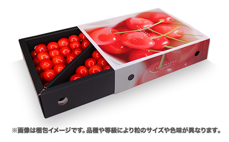 さくらんぼ 佐藤錦 500g L 秀品 sb-snslx500