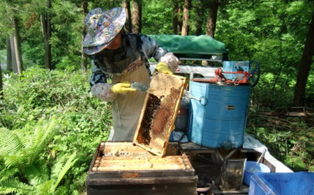 三浦養蜂場 会津産とちの蜂蜜「なめてみらんしょ」1kg　【07208-0800】