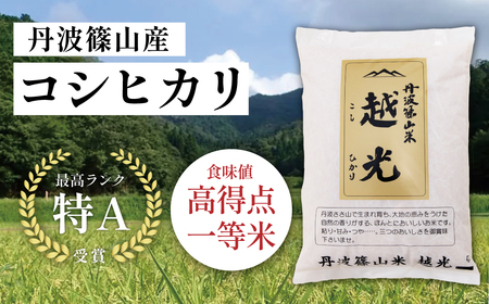 定期便 お米 特A コシヒカリ【 5kg 3回 】定期便