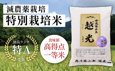定期便 コシヒカリ 特別栽培米【 10kg 6回 】定期便