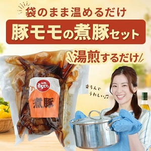 SA2895　【和豚もちぶた】 煮豚セット　300g×3個