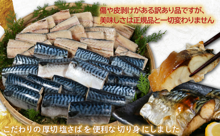 訳あり 厚切 塩さば 切り身 約 3.5kg